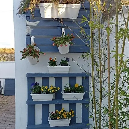 Perto Do Mar, Local Gafanha da Boa Hora