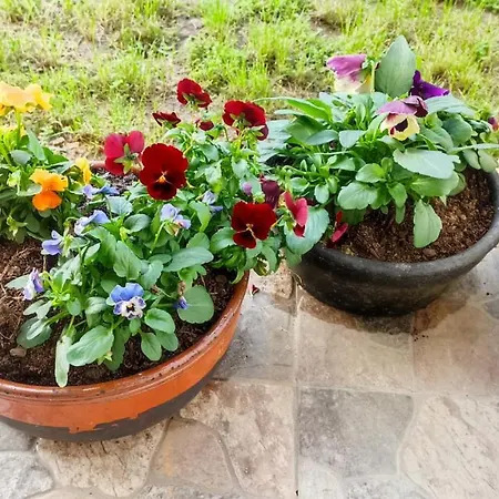 Accommodatie bij particulieren Perto Do Mar, Local Gafanha da Boa Hora