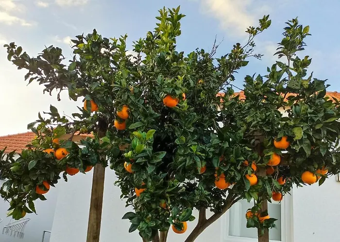 Perto Do Mar, Local * Gafanha da Boa Hora